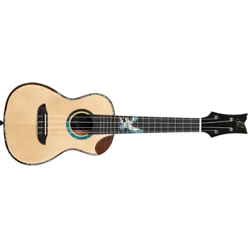 Akustická kytara Ortega EAGLESUITE-U + prodloužená záruka 3 roky