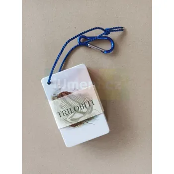 Trilobiti : Kapesní atlas - Dora Dutková, texty a odborná konzultace Lukáš Laibl