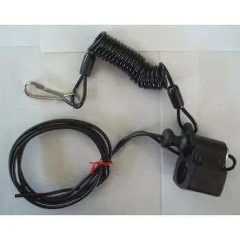 Hra pro Nintendo Switch Pro Design kill switch Premium