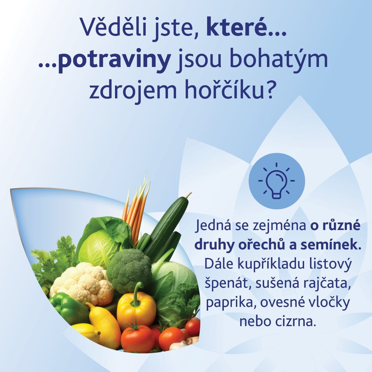 foto  Sanofi Magne B6 Balance 20 sáčků