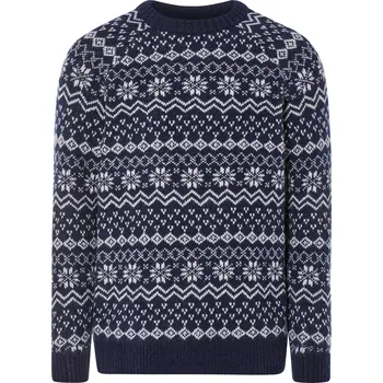 Pánský svetr LIVERGY® Pánský vánoční svetr (XL (56/58), modrá)