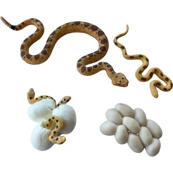 Figurka Figurky Animal Life Životní cyklus Hada