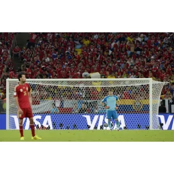 Sportovní branka Síť YakimaSport Goal 7,32 x 2,44 m - voštinová