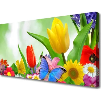 Obraz Obraz na plátně Motýl Květiny Příroda 120x60 cm