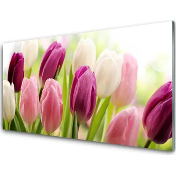Obraz Obraz na skle Tulipány Květiny Příroda Louka 140x70 cm 4 Přívěsky