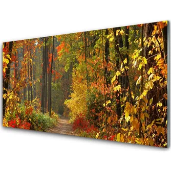 Obraz Obraz na skle Les Příroda Podzim 100x50 cm 2 Přívěsky