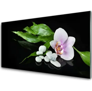 Obraz Obraz na skle Květ Kameny Listí 125x50 cm 2 Přívěsky