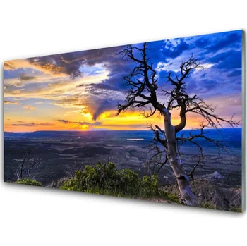 Obraz Obraz na skle Strom Zápas Slunce 125x50 cm 2 Přívěsky