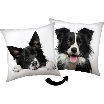 Polštář Jerry Fabrics Polštářek Border Kolie 40 × 40 cm