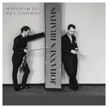 DVD film Milan Pala, Ladislav Fanzowitz: Johannes Brahms: Sonatas Op. 120 - Milan Pala