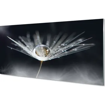 Obraz Obraz na skle Drop pampeliška makro 100x50 cm 2 Přívěsky