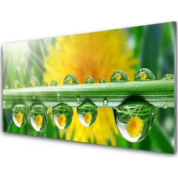 Obraz Obraz na skle Stonek Kapky Rosa Rostlina 125x50 cm 2 Přívěsky