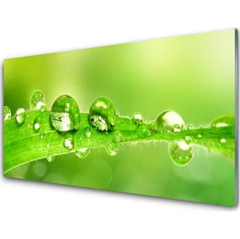 Obraz Obraz na skle List Kapky Rosa Rostlina 125x50 cm 2 Přívěsky