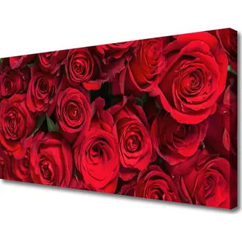 Obraz Obraz na plátně Červené Růže Květiny Příroda 100x50 cm