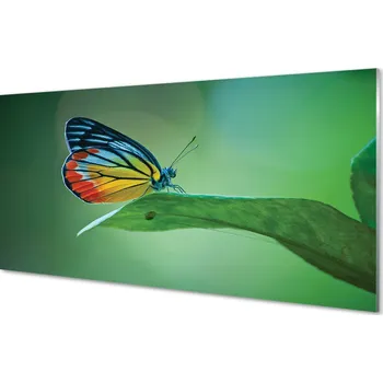 Obraz Obraz na skle Barevný motýl křídlo 100x50 cm 2 Přívěsky