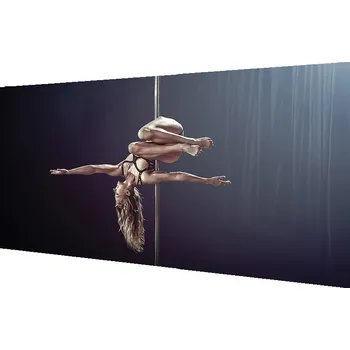 Obraz Obraz na skle Tanec trubka žena 125x50 cm 2 Přívěsky