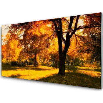 Obraz Obraz na skle Stromy Podzim Příroda 100x50 cm 2 Přívěsky