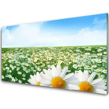 Obraz Obraz na skle Sedmikrásky Květiny Louka Pole 120x60 cm 2 Přívěsky