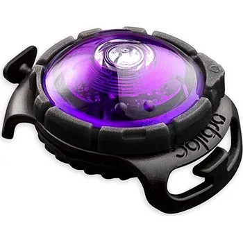 Obojek pro psa Orbiloc LED světlo na obojek fialové