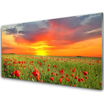 Obraz Obraz na skle Máky Slunce Rostlina Příroda 125x50 cm 2 Přívěsky