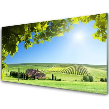 Obraz Obraz na skle Pole Listy Krajina 125x50 cm 2 Přívěsky