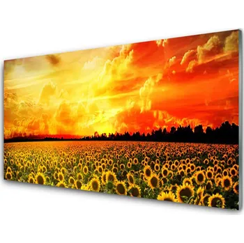 Obraz Obraz na skle Louka Slunečnice Květiny 100x50 cm 2 Přívěsky