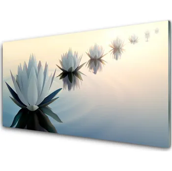 Obraz Obraz na skle Vodní Lilie Bílý Leknín 125x50 cm 2 Přívěsky