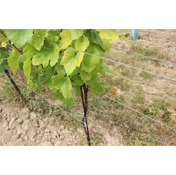 Vázací drát Drát vinohradnický Zn 1,8mm, 25kg