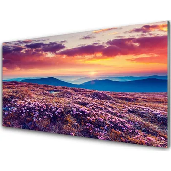 Obraz Obraz na skle Louka Hory Květiny Příroda 125x50 cm 2 Přívěsky