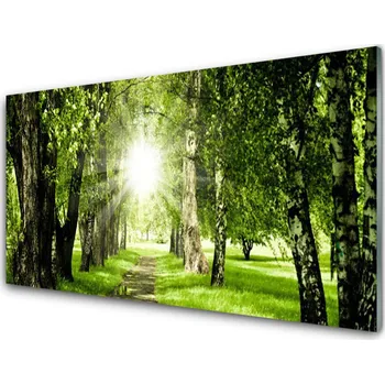 Obraz Obraz na skle Les Slunce Stezka Příroda 100x50 cm 2 Přívěsky