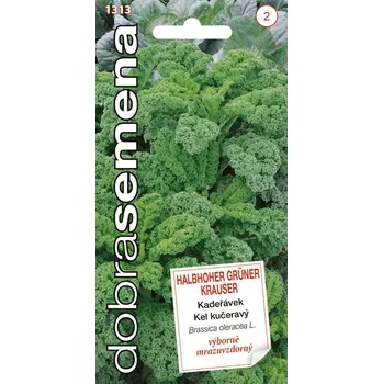 Semeno Dobrá semena Kadeřávek - Halbhoher Gruner Krauser 1g