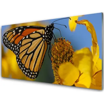 Obraz Obraz na skle Motýl Květ Příroda 100x50 cm 2 Přívěsky