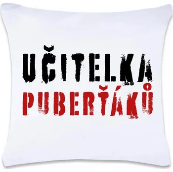 Dekorativní polštářek DOBRÝ TRIKO Polštář s potiskem 40 x 40 cm Učitelka puberťáků Oboustranný tisk: NE