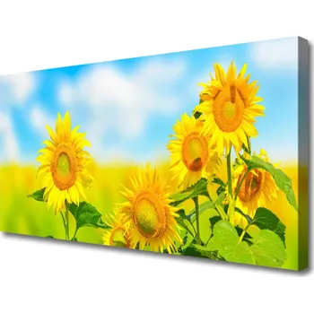 Obraz Obraz na plátně Slunečnice Květiny Příroda 100x50 cm