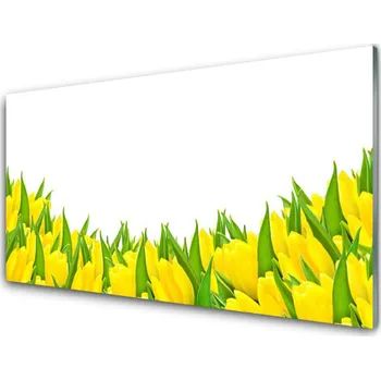 Obraz Obraz na skle Květiny Příroda Tulipány 140x70 cm 2 Přívěsky
