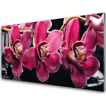 Obraz Plexisklo-obraz Květiny Orchideje Výhonky Příroda 125x50 cm 2 Přívěsky