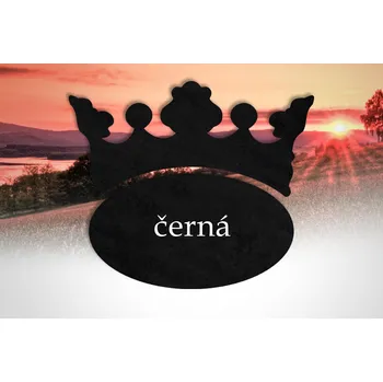 Dámské punčochy Punčochové kalhoty HOZA - elastické, 20 DEN - D26 Barva: černá, Velikost: 182/108