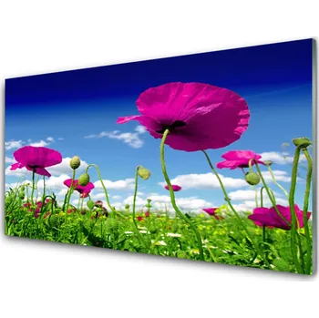 Obraz Obraz na skle Louka Květiny Nebe Příroda 120x60 cm 2 Přívěsky