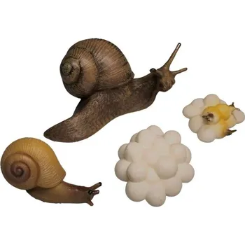 Figurka Figurky Animal Life Životní cyklus Hlemýždě