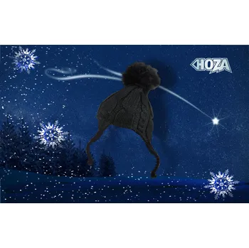 Čepice Dámská zímní čepice HOZA s copánky - HC005 Barva: černá, Velikost: UNI