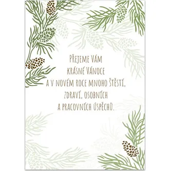 OPTYS Novoročenka, větvičky s šiškami, A6, sada 5 ks