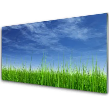 Obraz Obraz na skle Nebe Tráva Příroda 100x50 cm 2 Přívěsky
