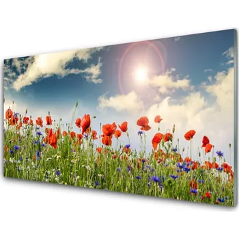 Obraz Obraz na skle Louka Květiny Slunce Příroda 125x50 cm 2 Přívěsky