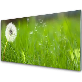 Obraz Obraz na skle Pampeliška Tráva Rostlina 140x70 cm 2 Přívěsky