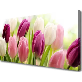 Obraz Obraz na plátně Tulipány Květiny Příroda Louka 100x50 cm