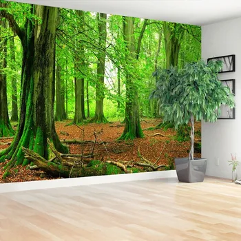 Fototapeta Fototapeta buky les 104x70