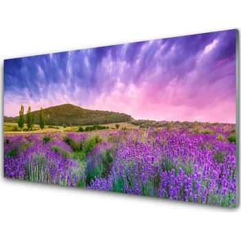 Obraz Obraz na skle Louka Květiny Hory Příroda 120x60 cm 2 Přívěsky