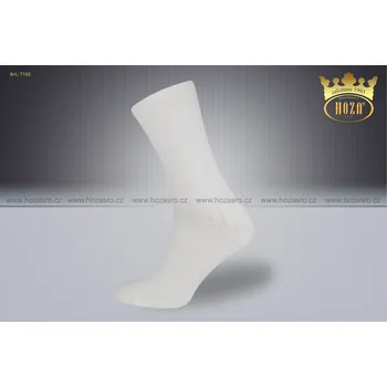 Pánské ponožky HOZA T102 2 páry bílá 43-46