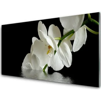 Obraz Obraz na skle Orchidej ve Vodě Květiny 100x50 cm 2 Přívěsky