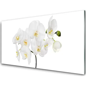 Obraz Obraz na skle Bílá Orchidej Květiny 125x50 cm 2 Přívěsky
